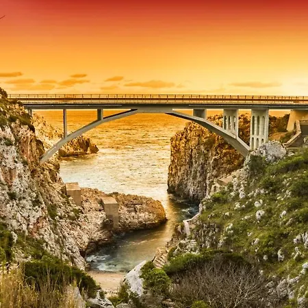 Il Pappagallo Santa Maria di Leuca